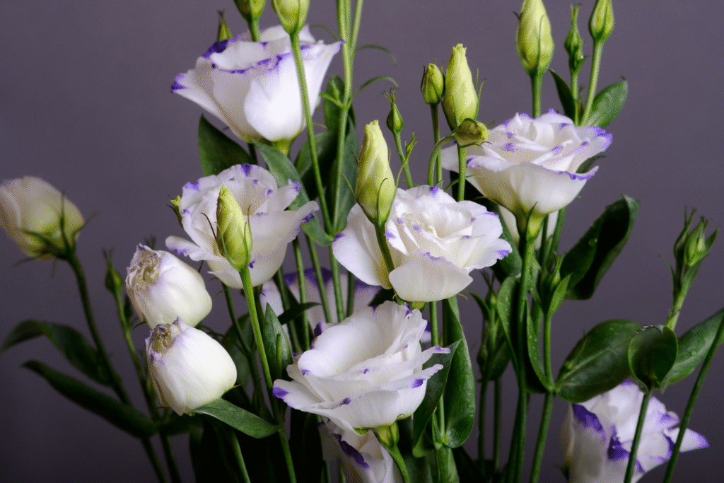 bukiet ślubny eustoma